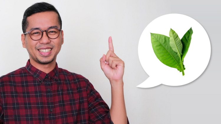 Mengupas Fakta Ilmiah tentang Nikotin: Dari Otak hingga Ketergantungan