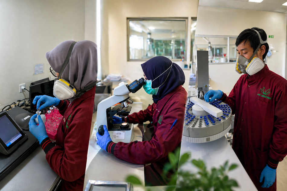 Pentingnya Pengujian Lingkungan bagi Pelaku Usaha dan Industri di Indonesia